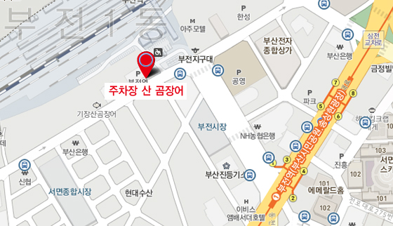 꼼장어 지도.jpg