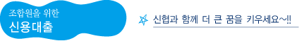 보통대출
